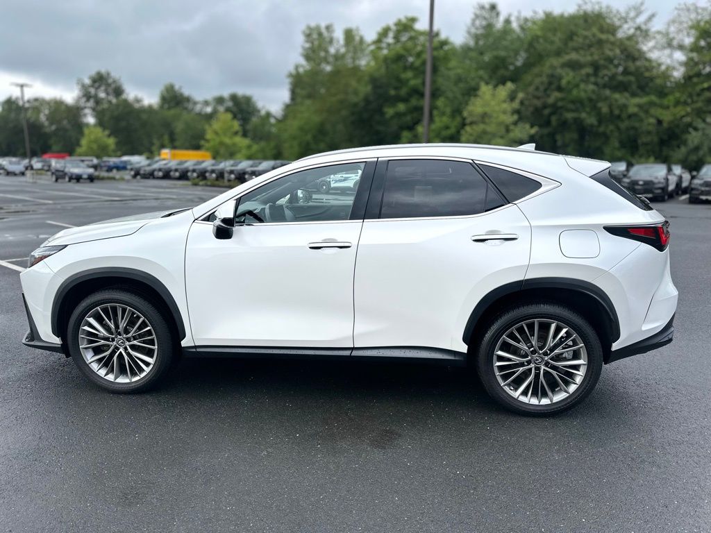 2022 Lexus NX 350 Luxury photo 3