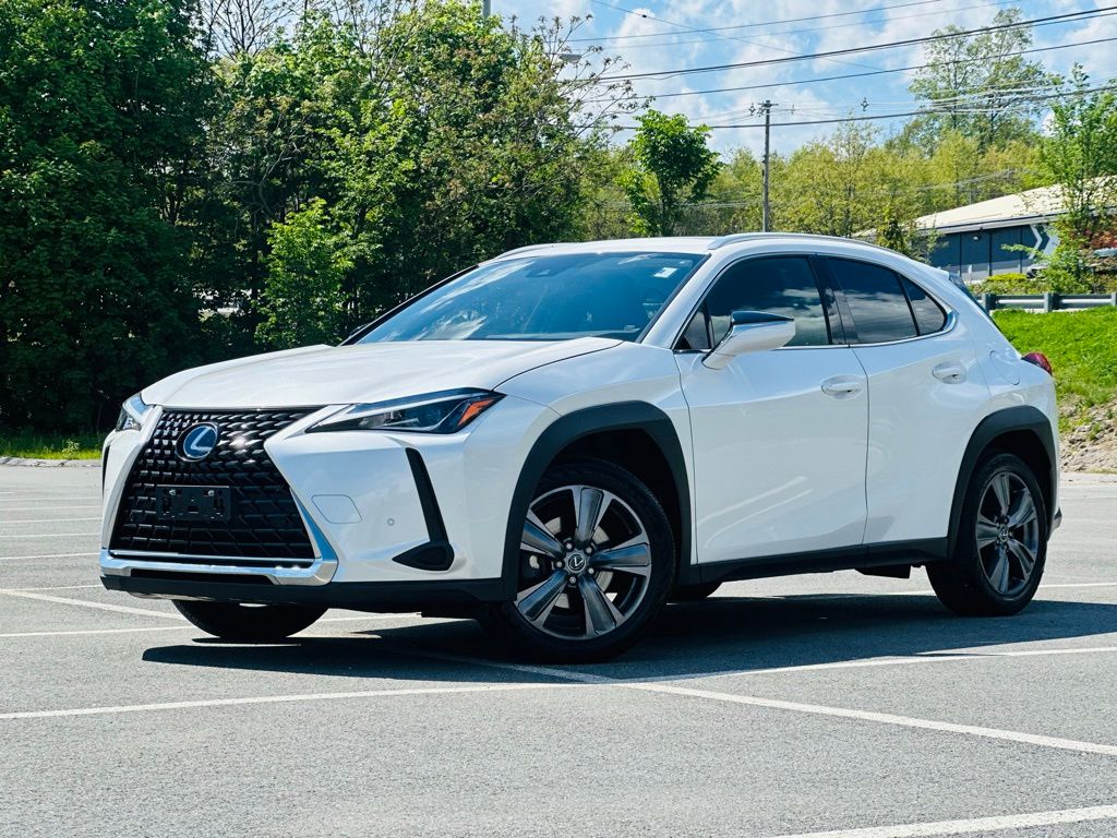 2021 Lexus UX 300h 250h AWD's photo