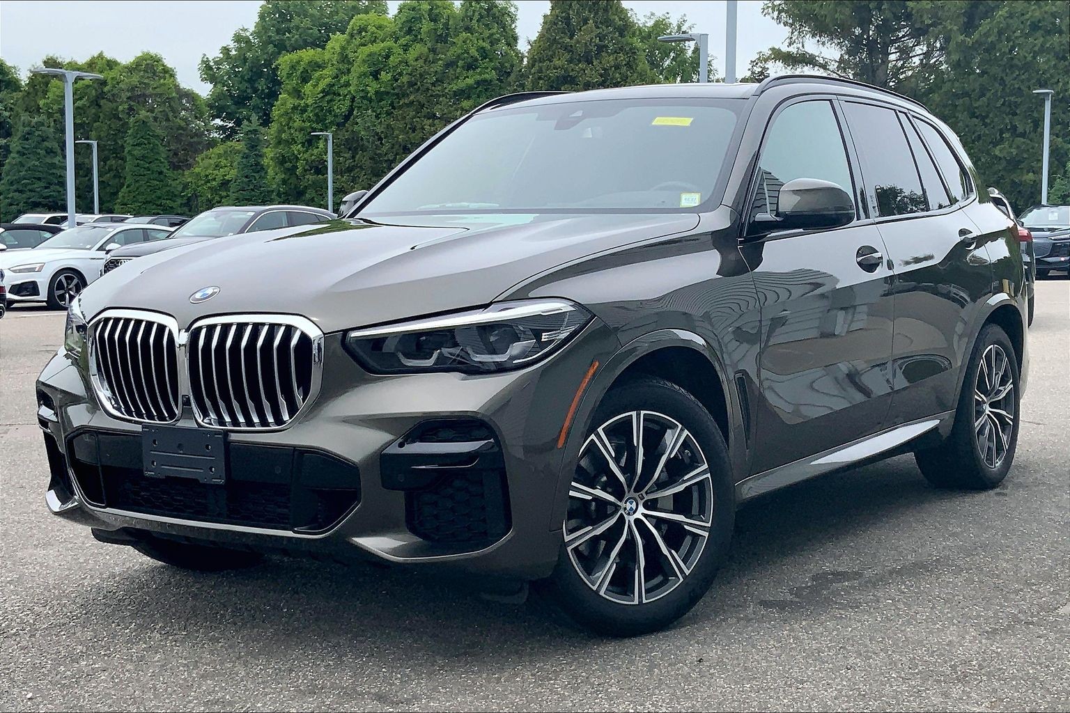 2023 BMW X5 xDrive40i's photo