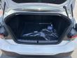 2025 BMW 230i 230i xDrive Coupe