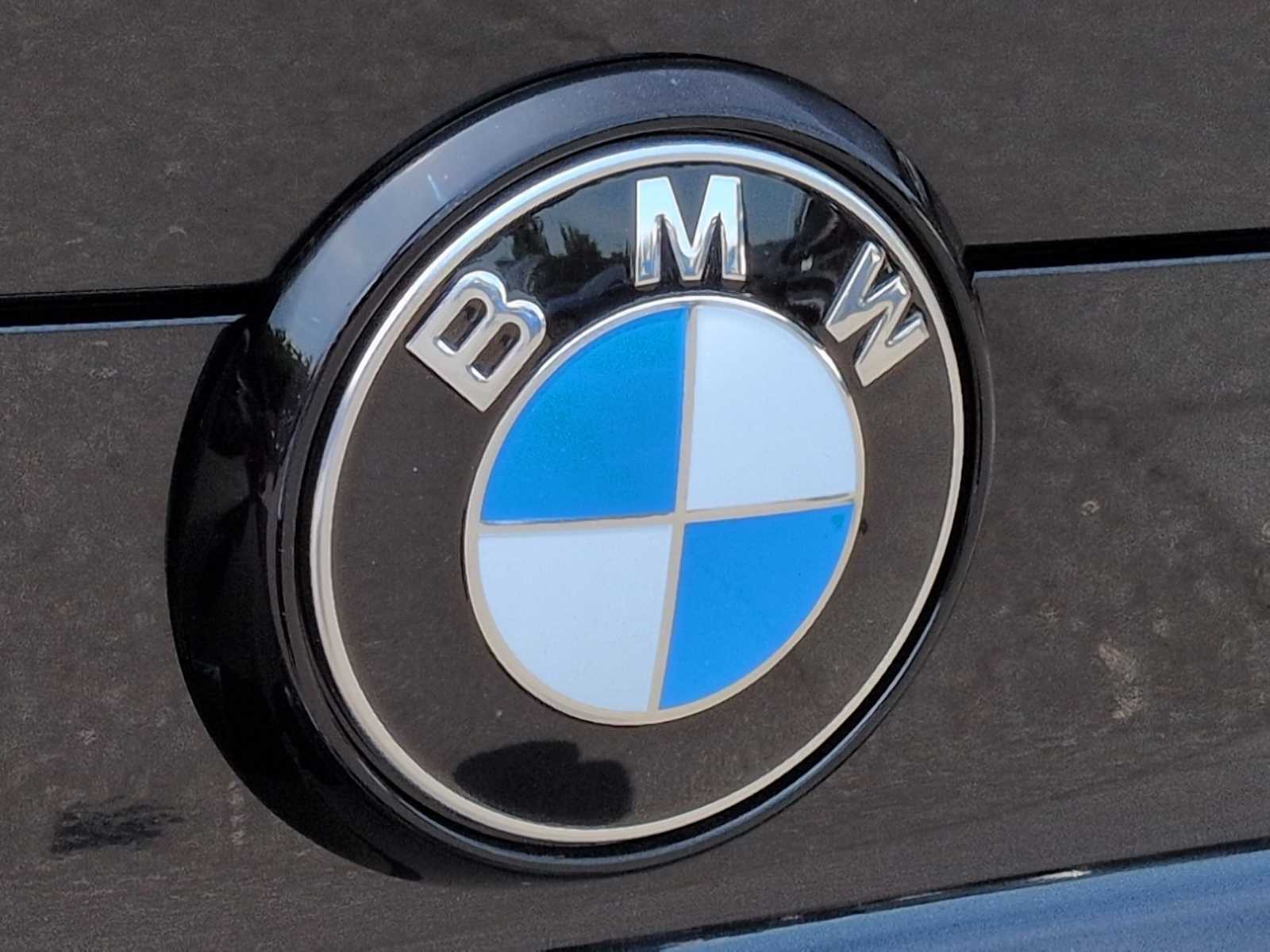 Thumbnail: 2027 BMW X6 - 12