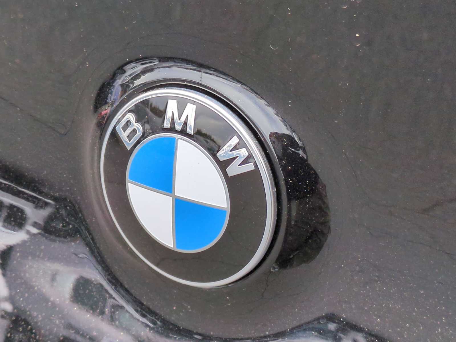 Thumbnail: 2025 BMW X3 - 11