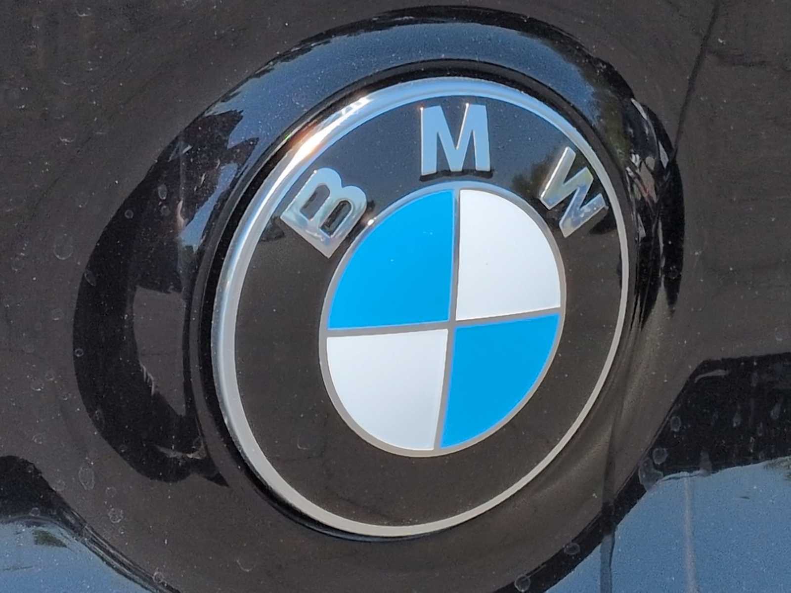 Thumbnail: 2026 BMW X3 - 12