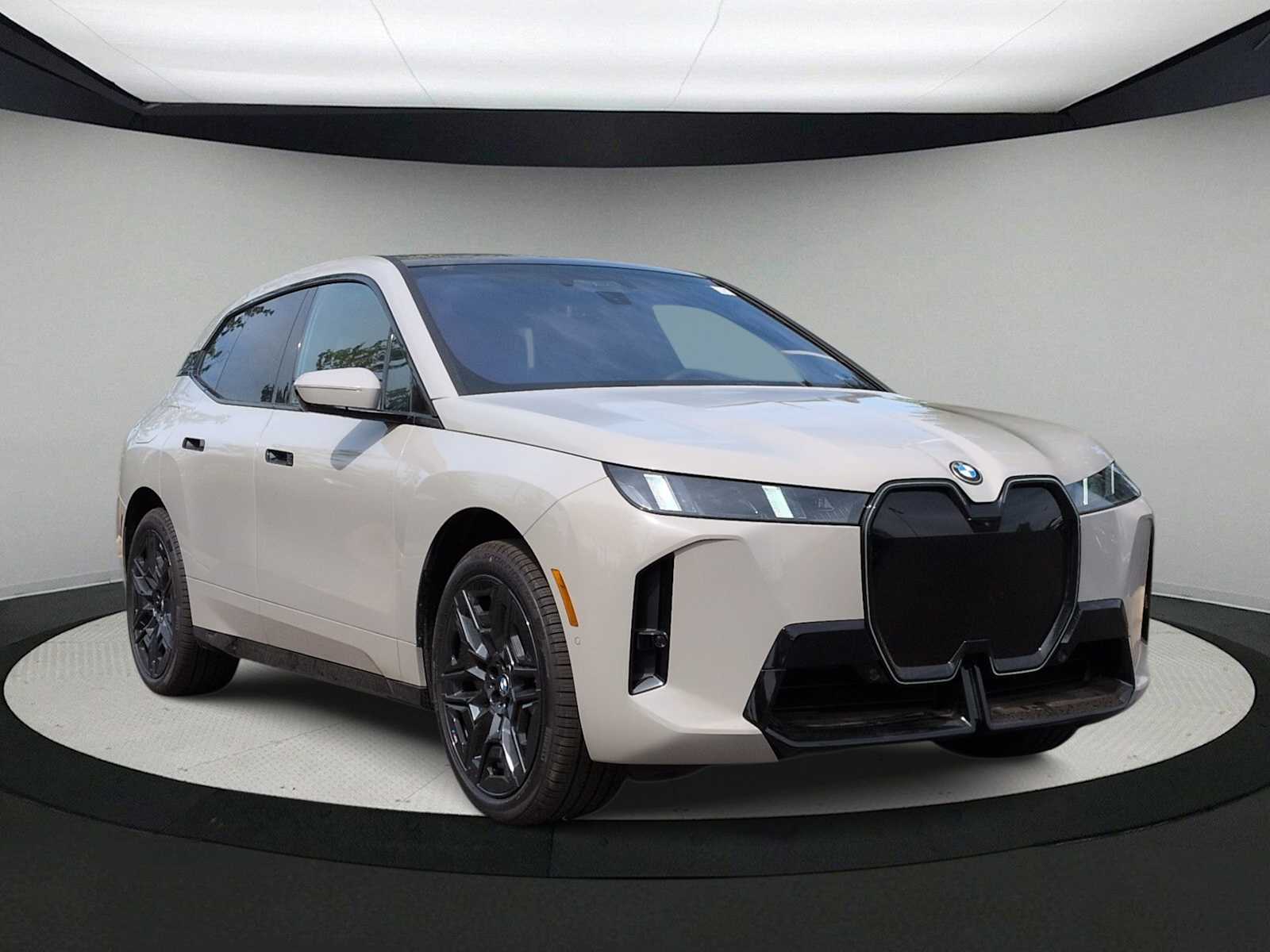 Thumbnail: 2026 BMW iX - 2
