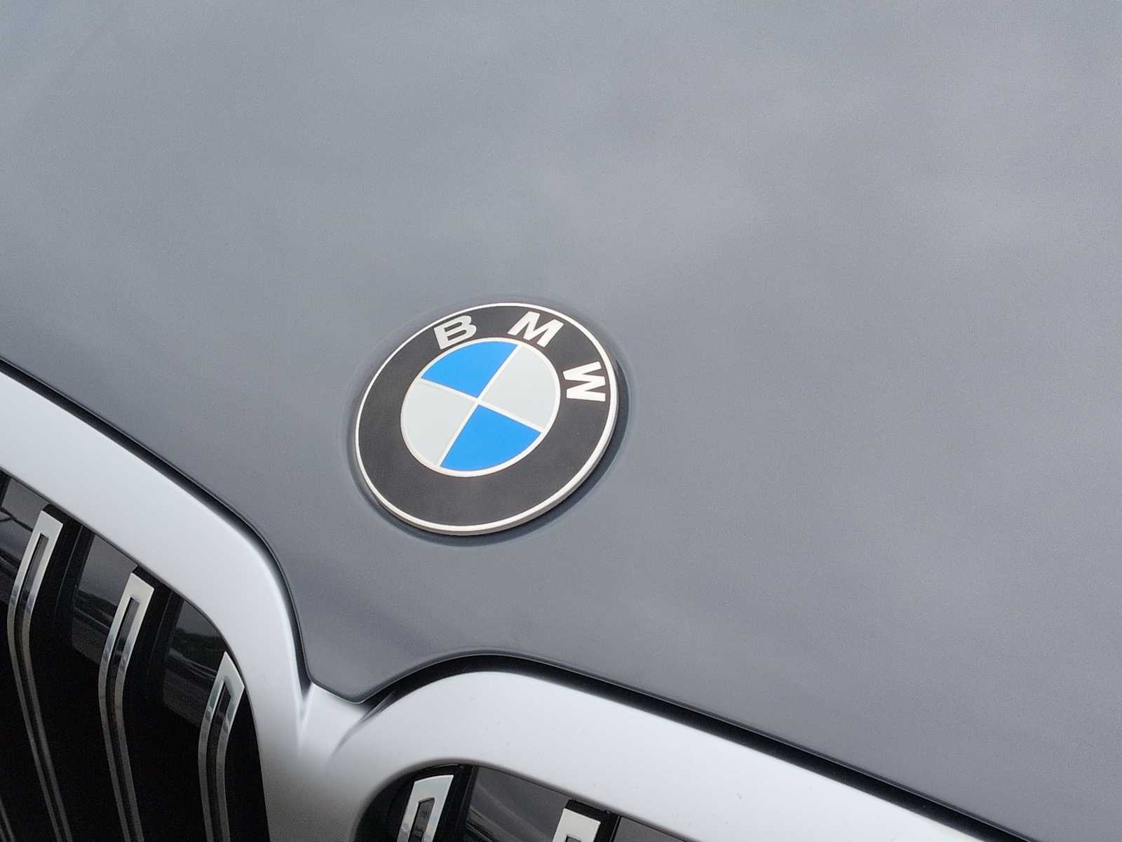 Thumbnail: 2027 BMW X7 - 12