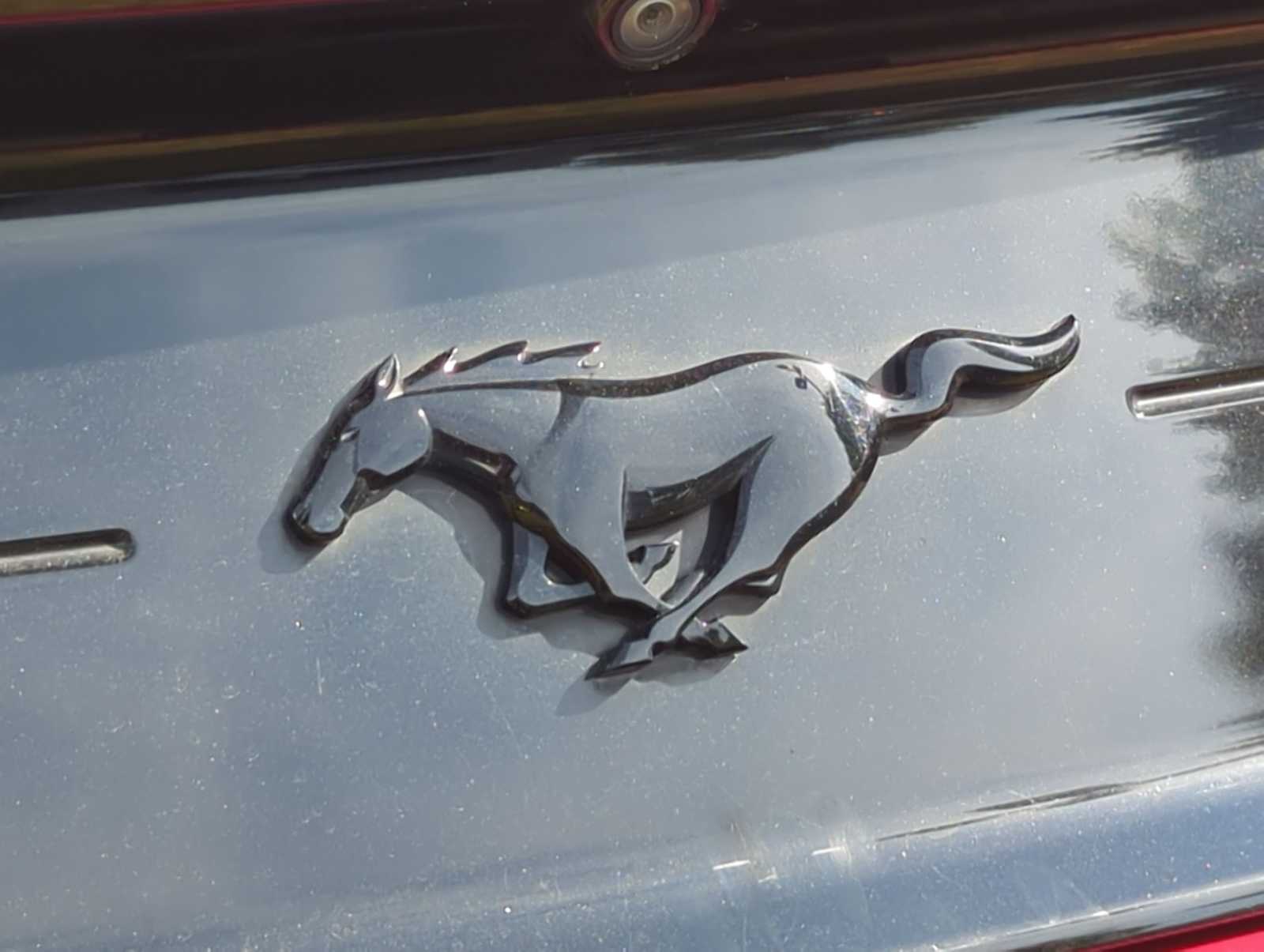 Thumbnail: 2021 Ford Mustang - 13