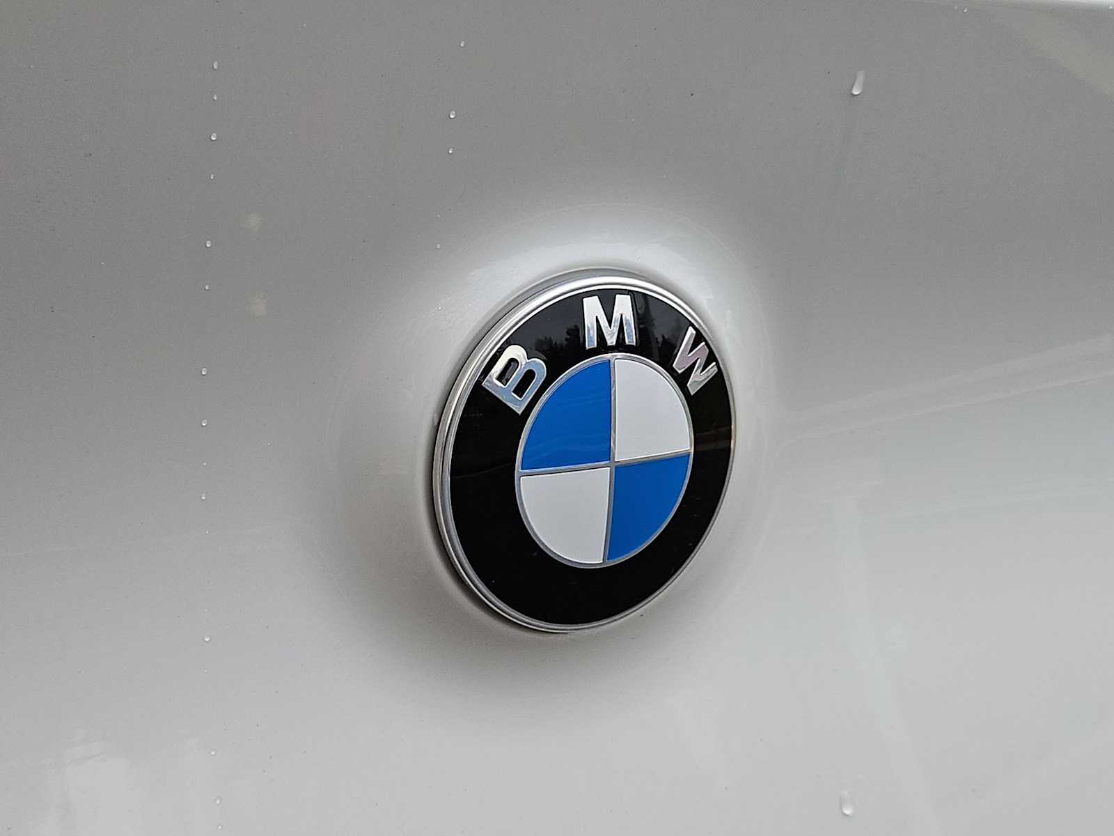 Thumbnail: 2026 BMW X3 - 12