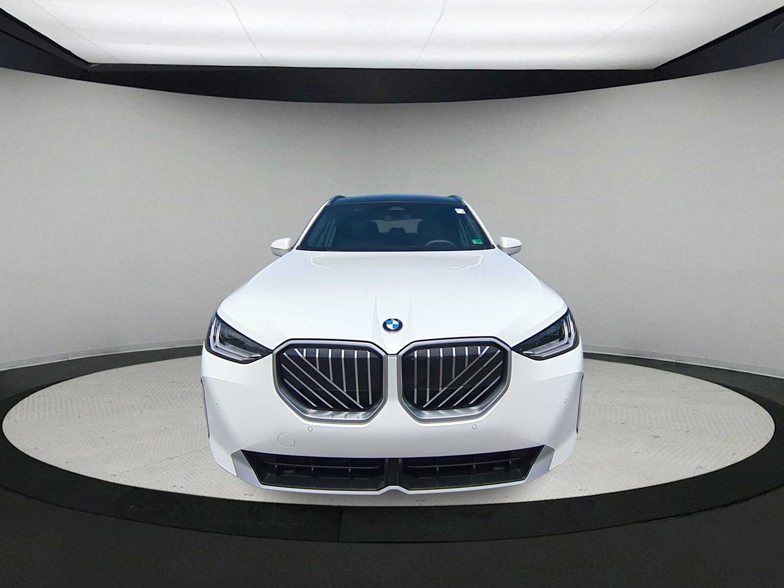 Thumbnail: 2025 BMW X3 - 3