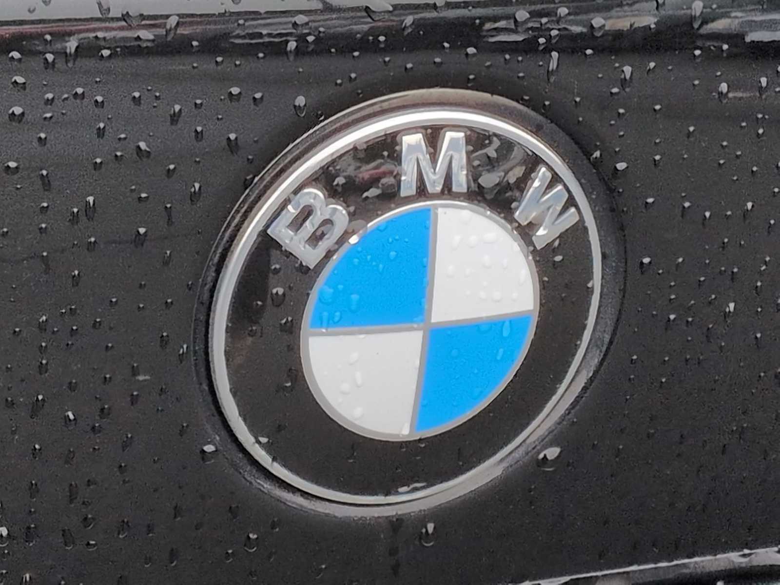 Thumbnail: 2025 BMW X5 - 12