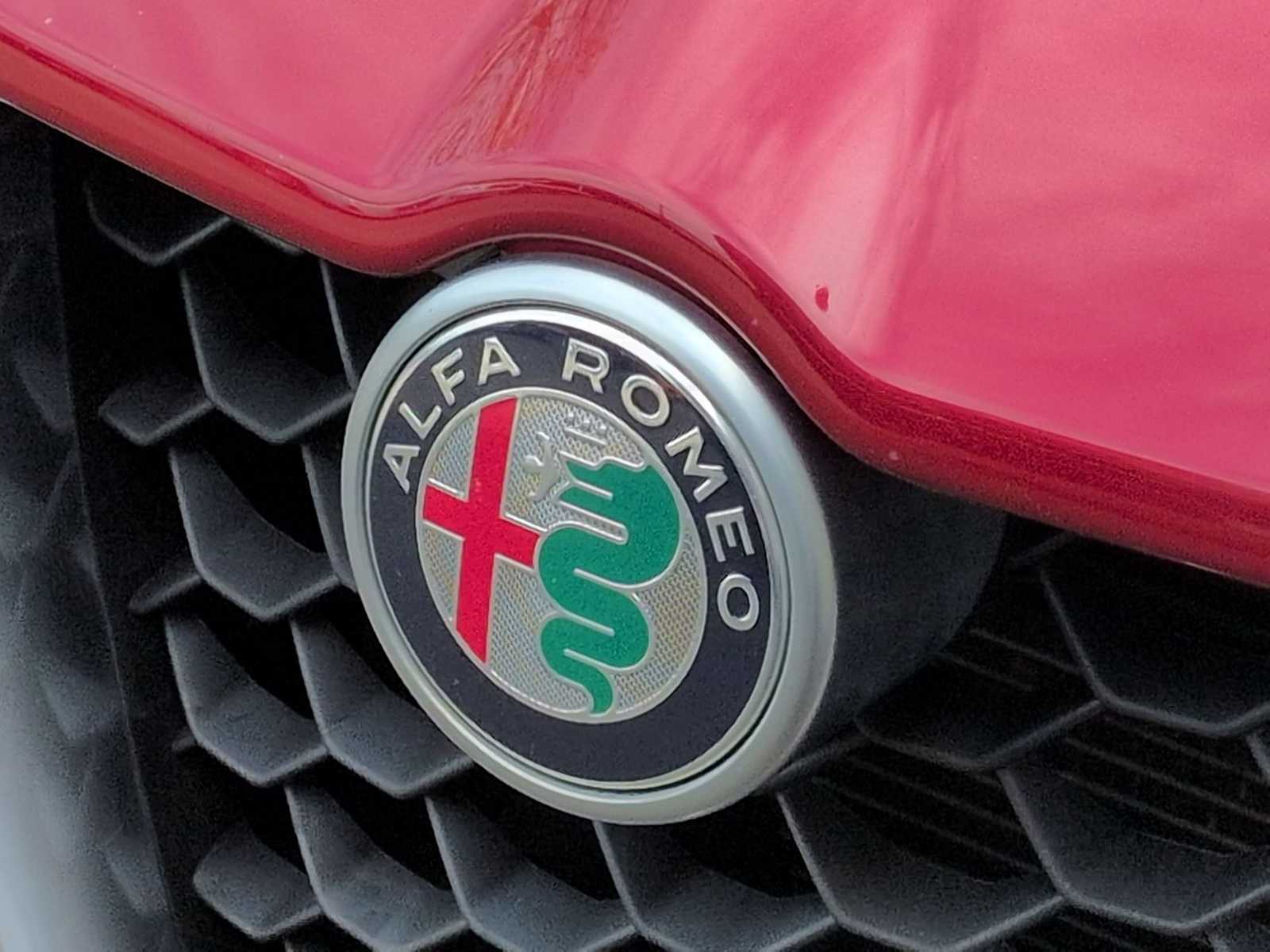 Thumbnail: 2019 Alfa Romeo Stelvio - 12