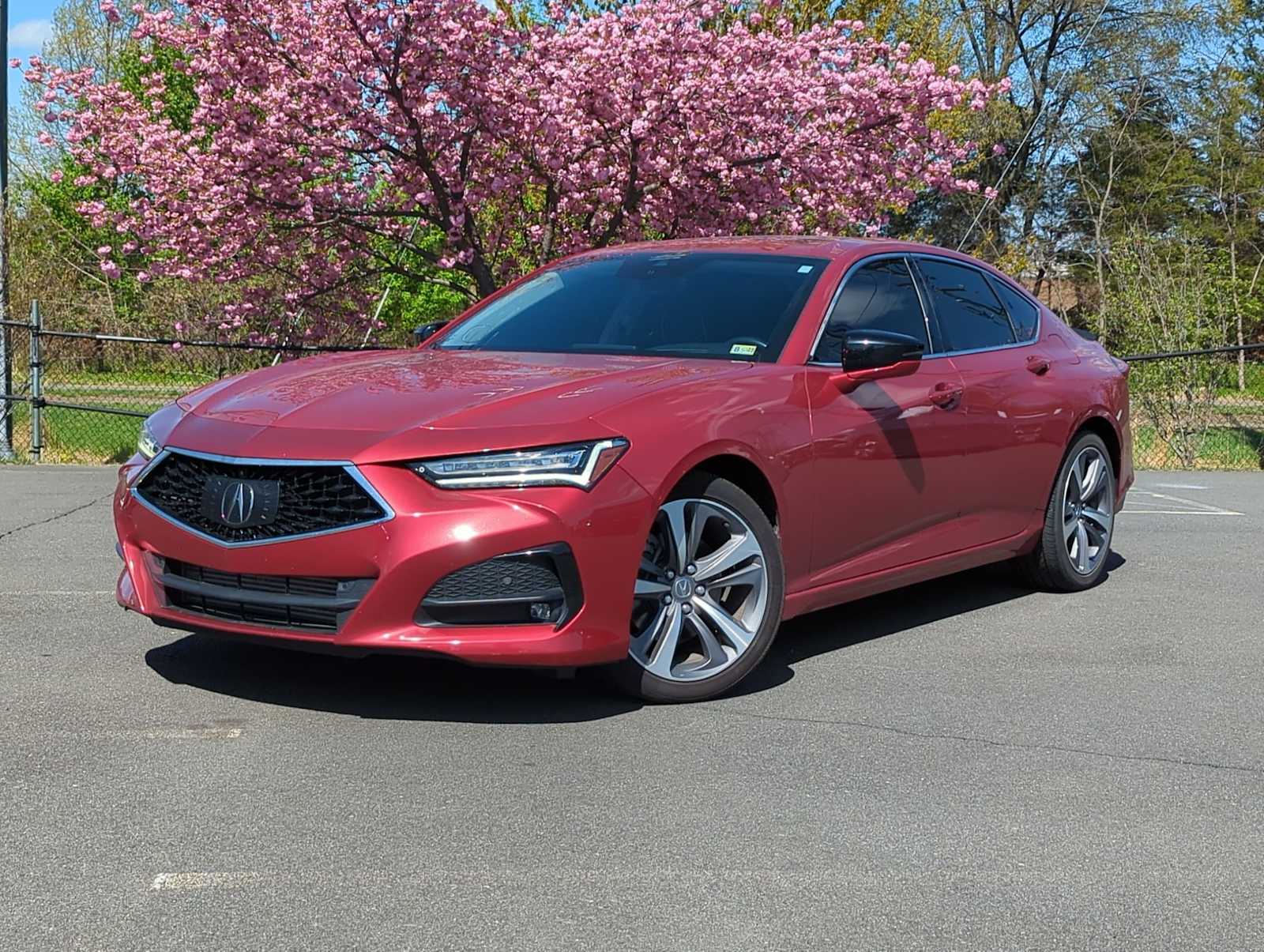 2021 Acura TLX Advance -
                  Sterling, VA