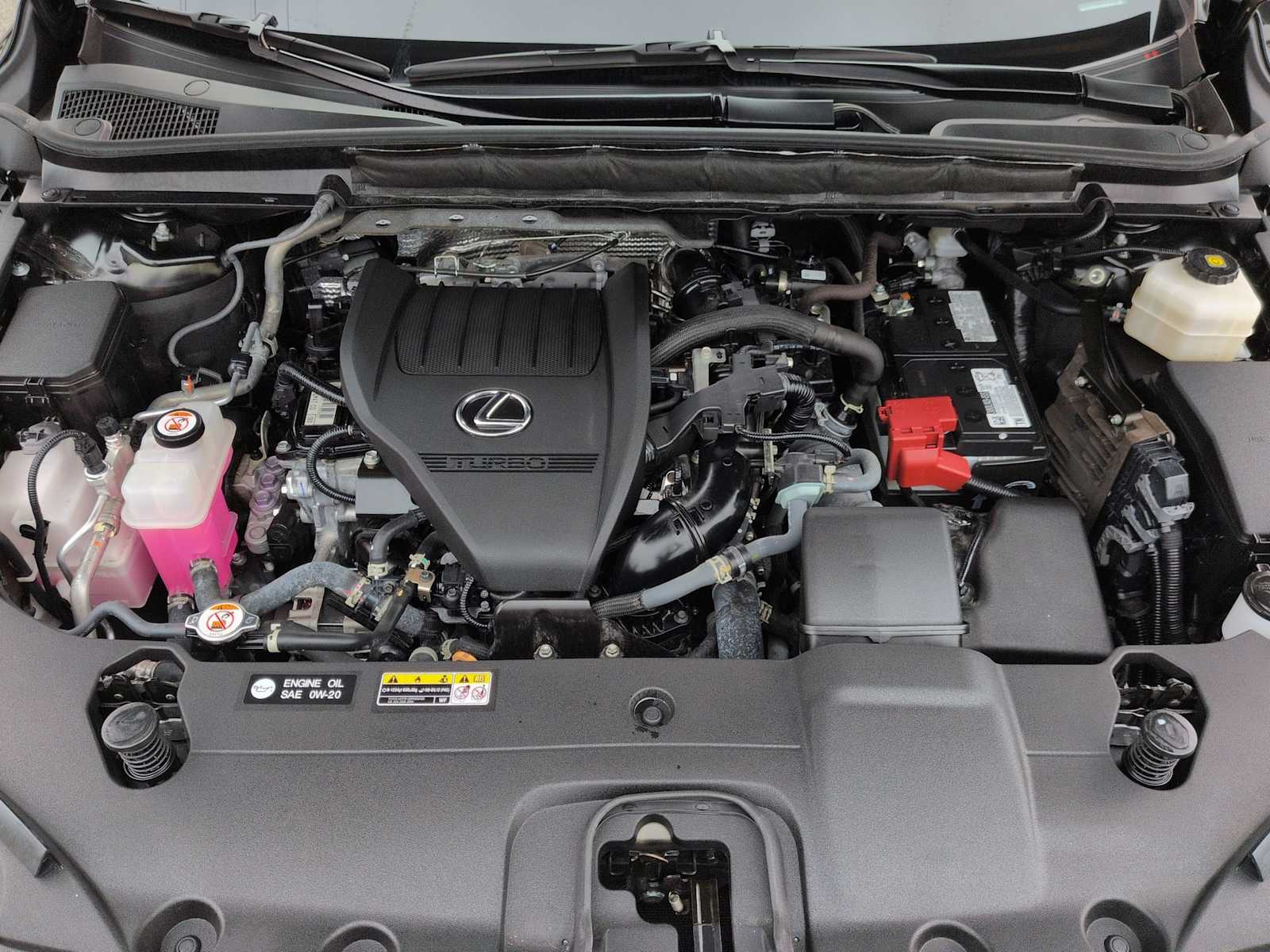 Thumbnail: 2024 Lexus RX - 15