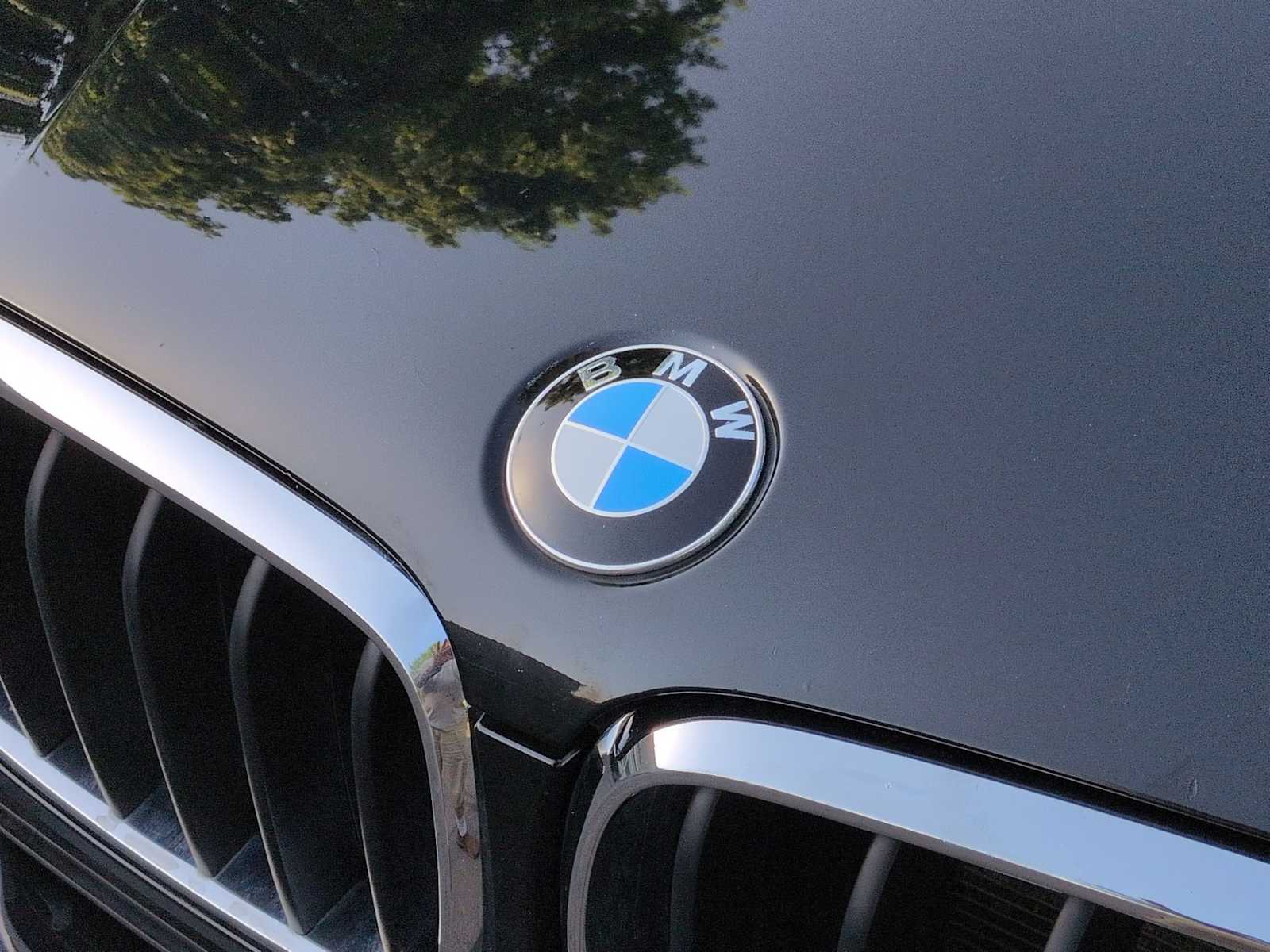 Thumbnail: 2014 BMW X5 - 12