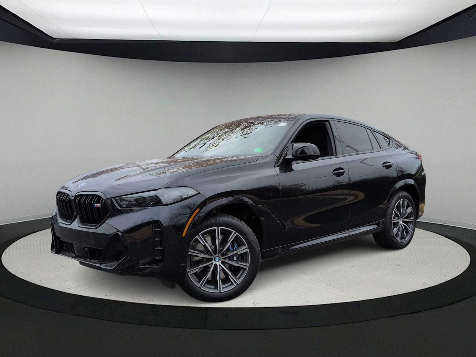 Thumbnail: 2026 BMW X6 - 1