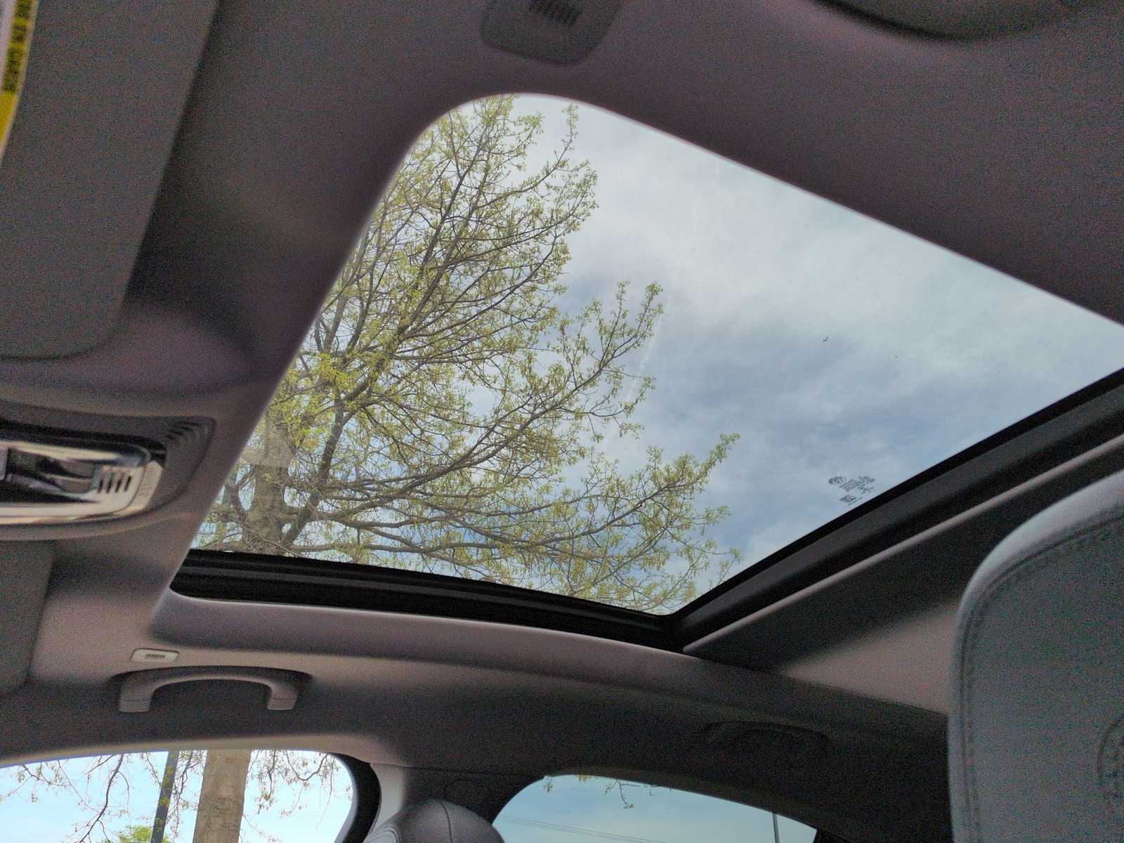 Thumbnail: 2019 Alfa Romeo Stelvio - 20