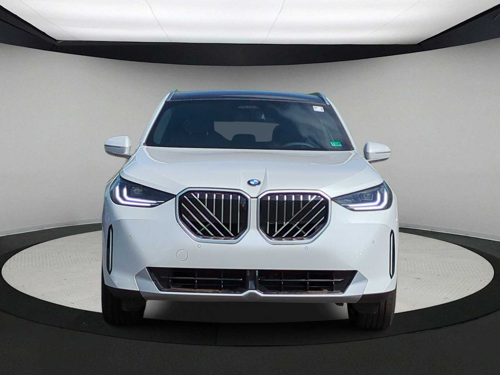 Thumbnail: 2025 BMW X3 - 3