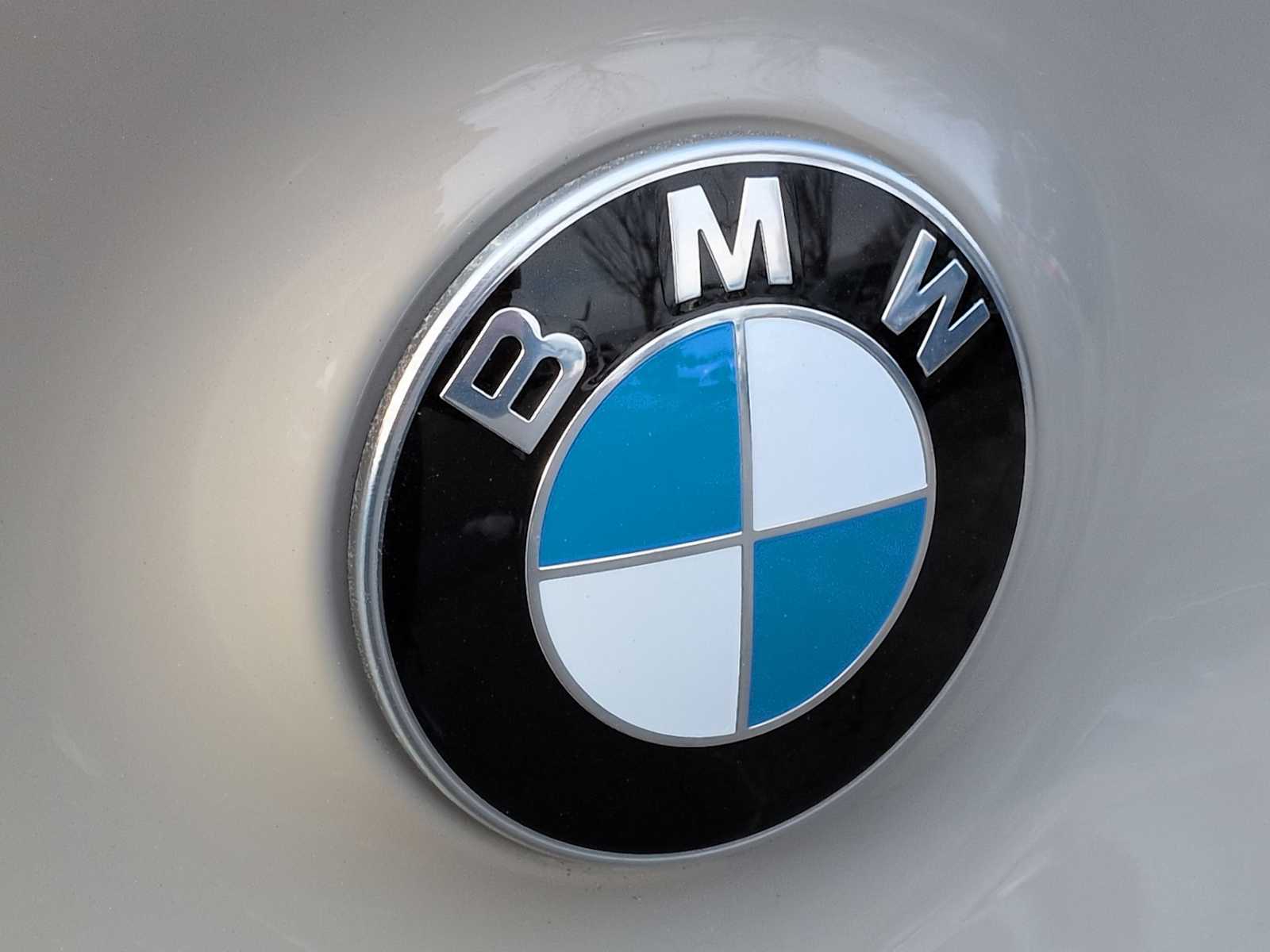 Thumbnail: 2026 BMW X3 - 13