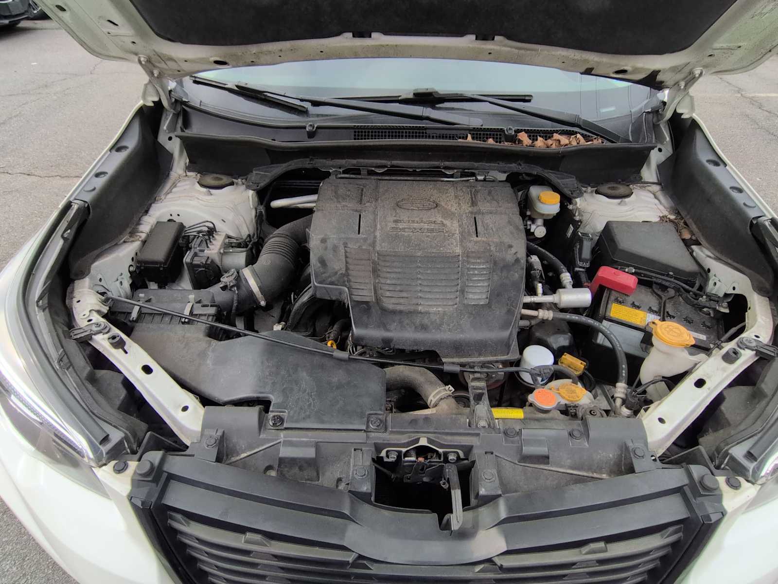 Thumbnail: 2020 Subaru Forester - 15