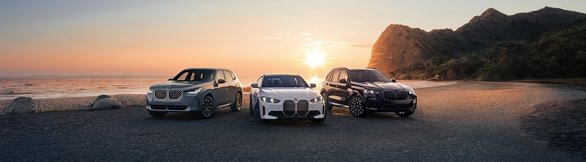 BMW X5, BMW X6, BMW X7