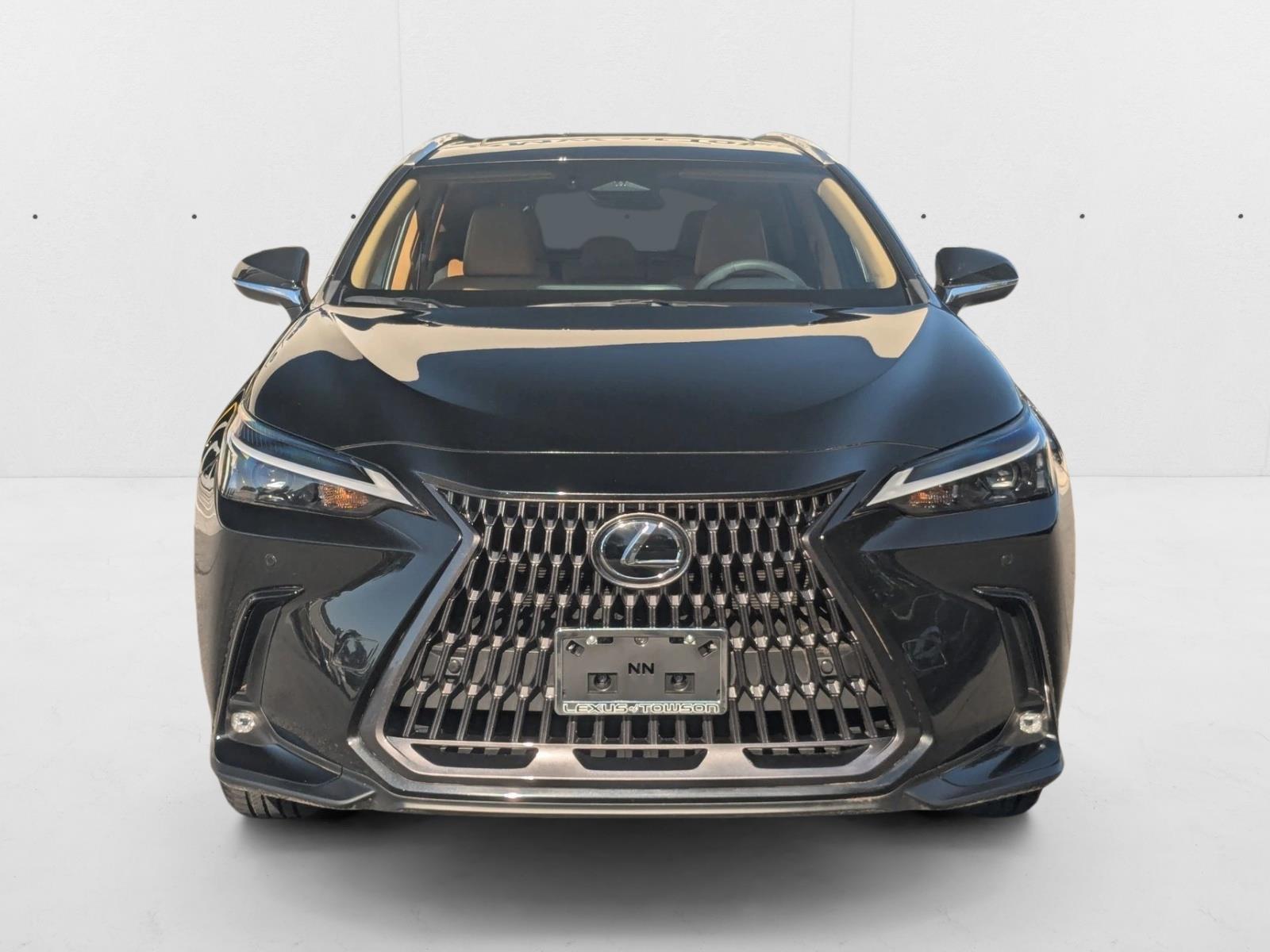 2024 Lexus NX 250 Premium photo 2