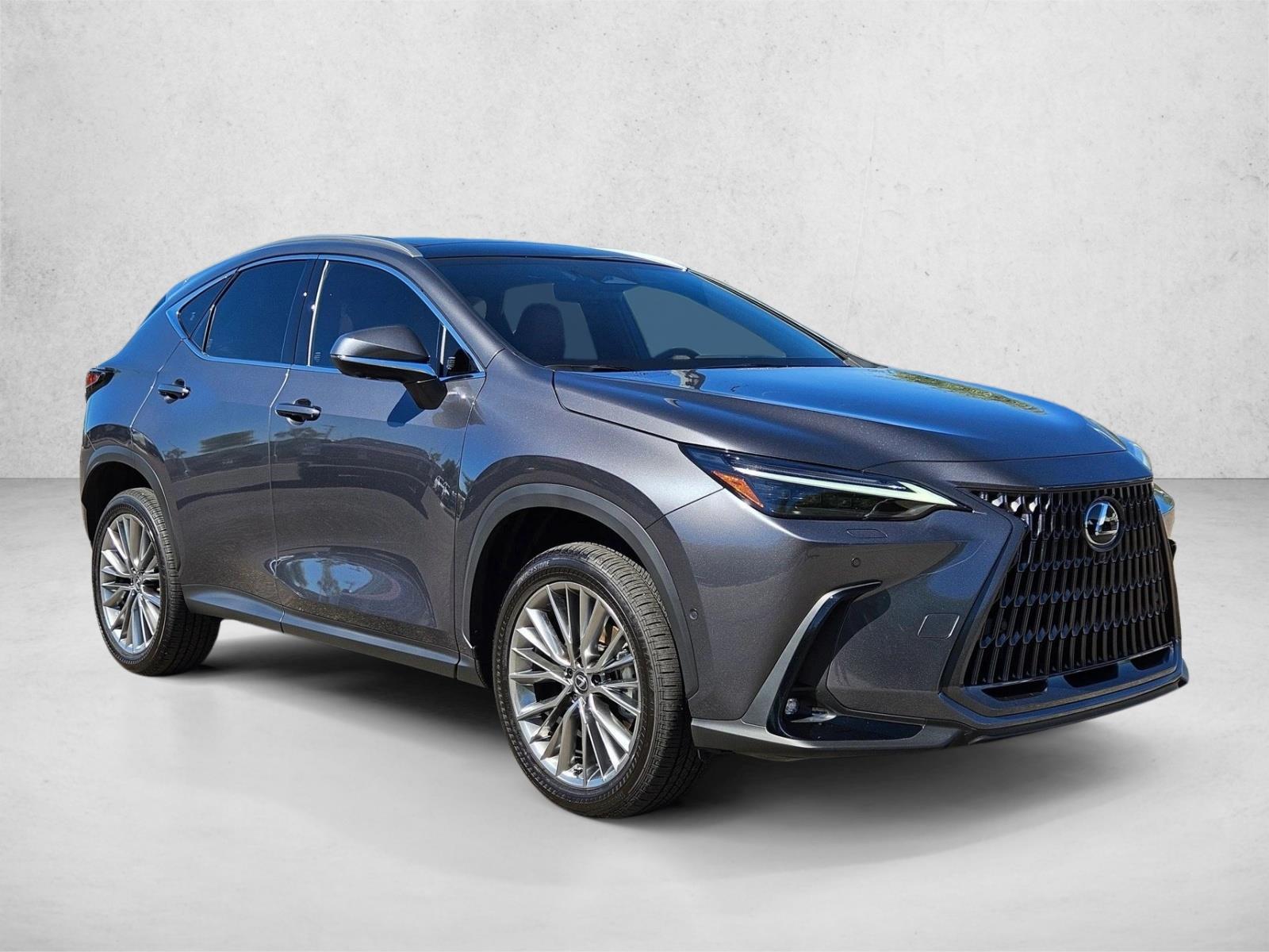 2025 Lexus NX 350h Luxury photo 3