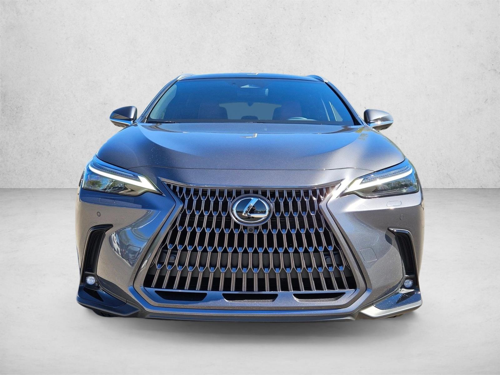 2025 Lexus NX 350h Luxury photo 2