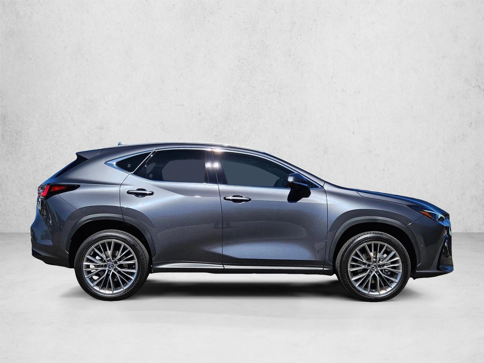 2025 Lexus NX 350h Luxury photo 4