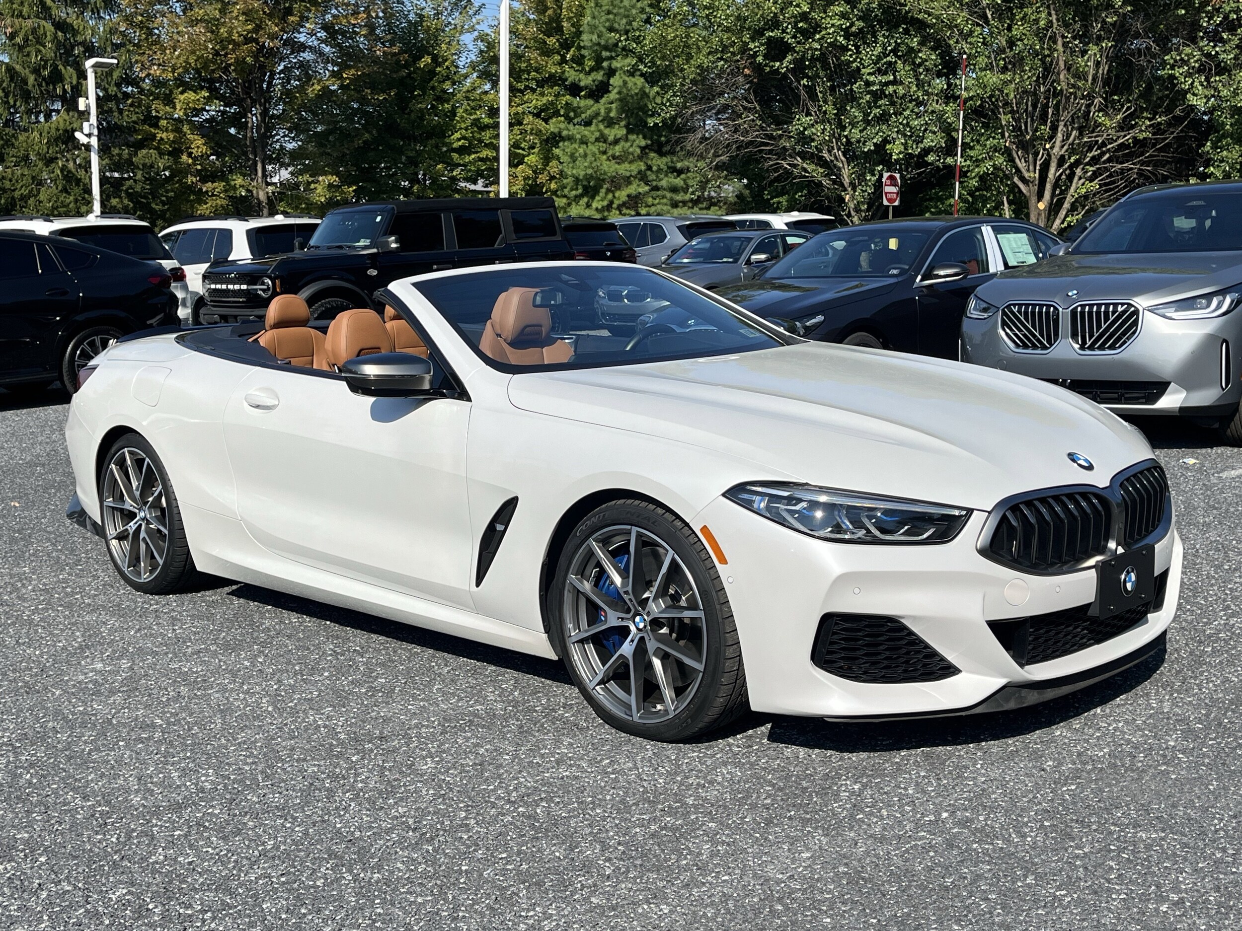 2019 Bmw 850i xDrive Convertible photo 2