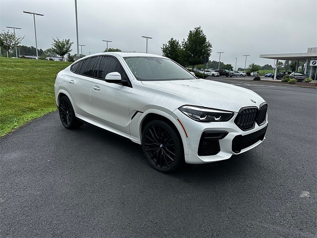 2022 Bmw X6 xDrive40i photo 3