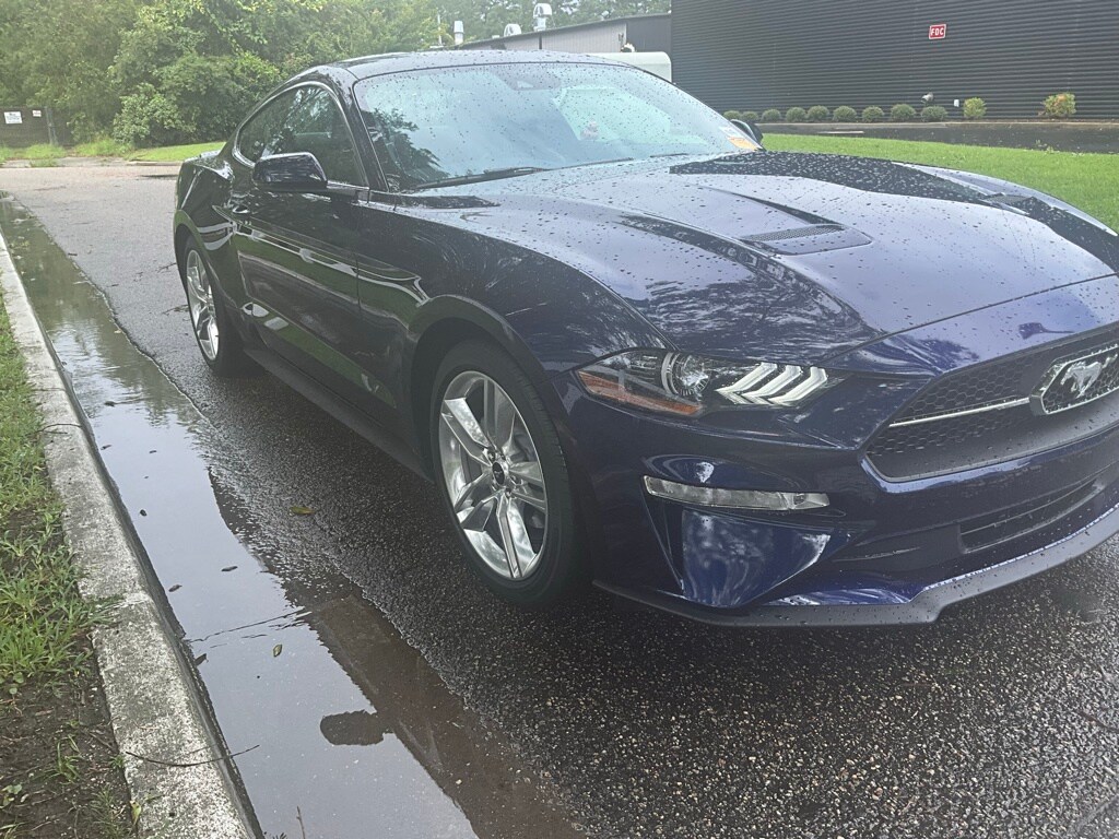 Used 2020 Ford Mustang EcoBoost Premium with VIN 1FA6P8TH5L5191014 for sale in Wilmington, NC