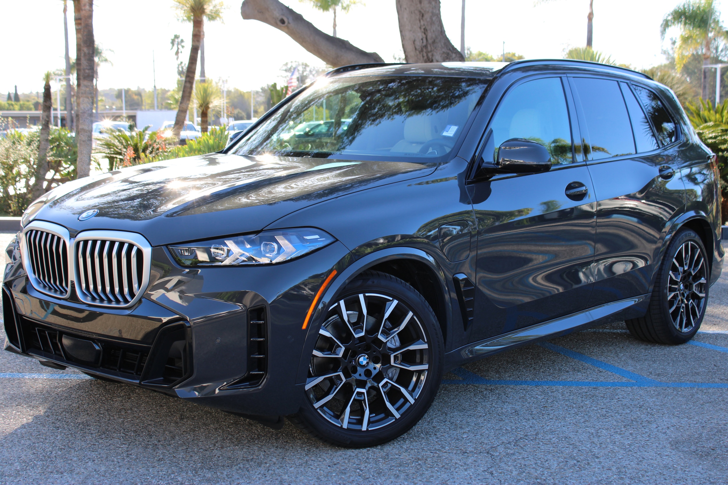 2026 BMW X5 50e's photo