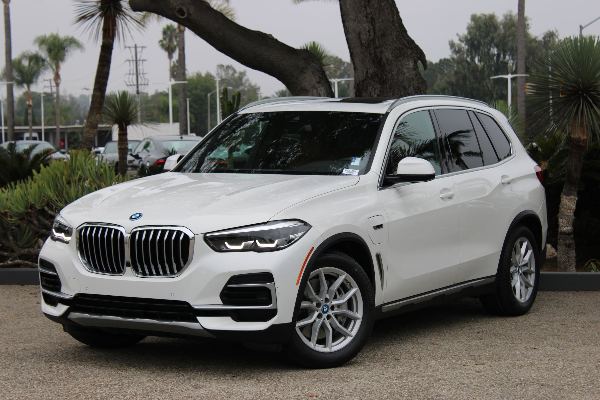 2023 BMW X5