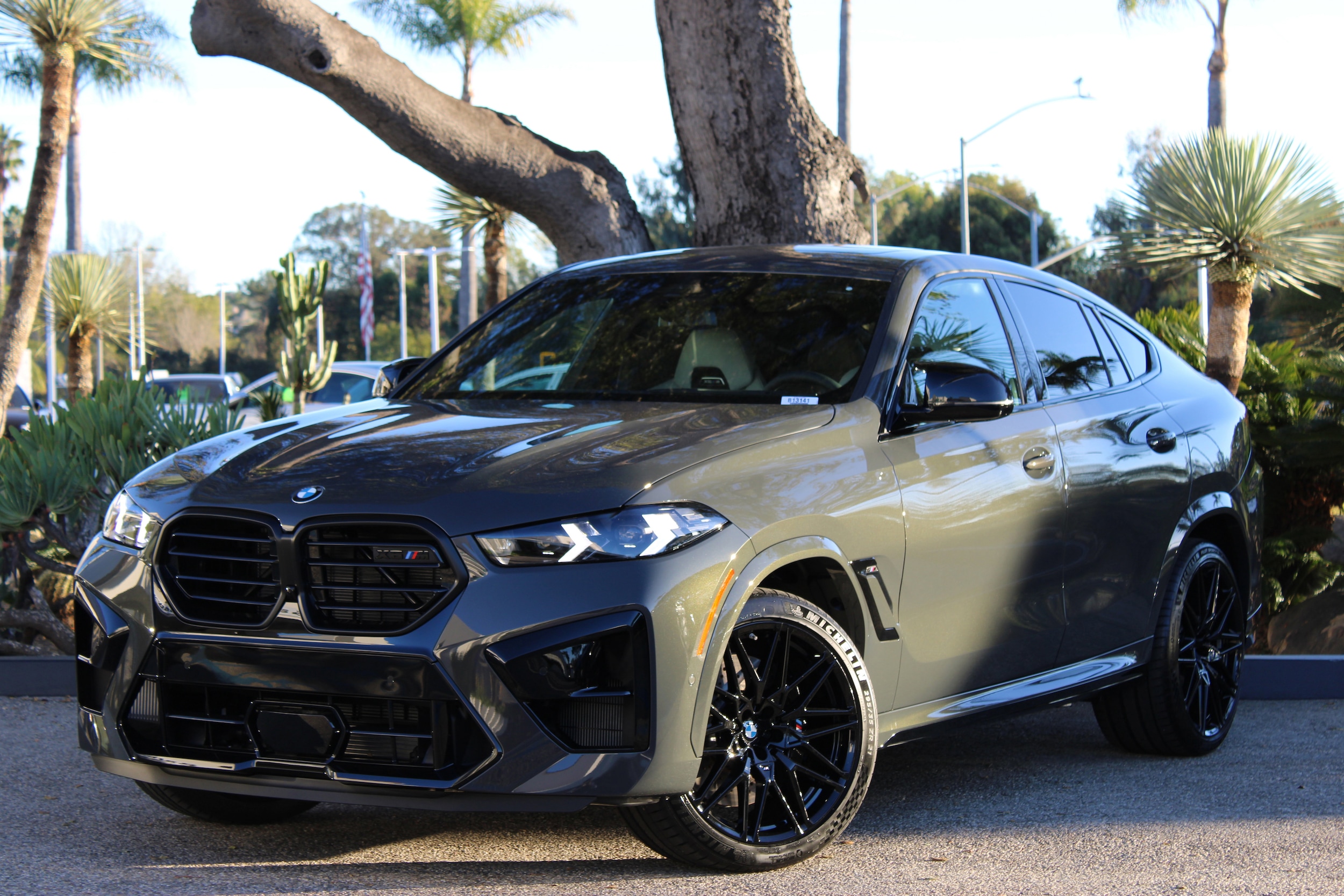 2026 BMW X6 M X6 M's photo