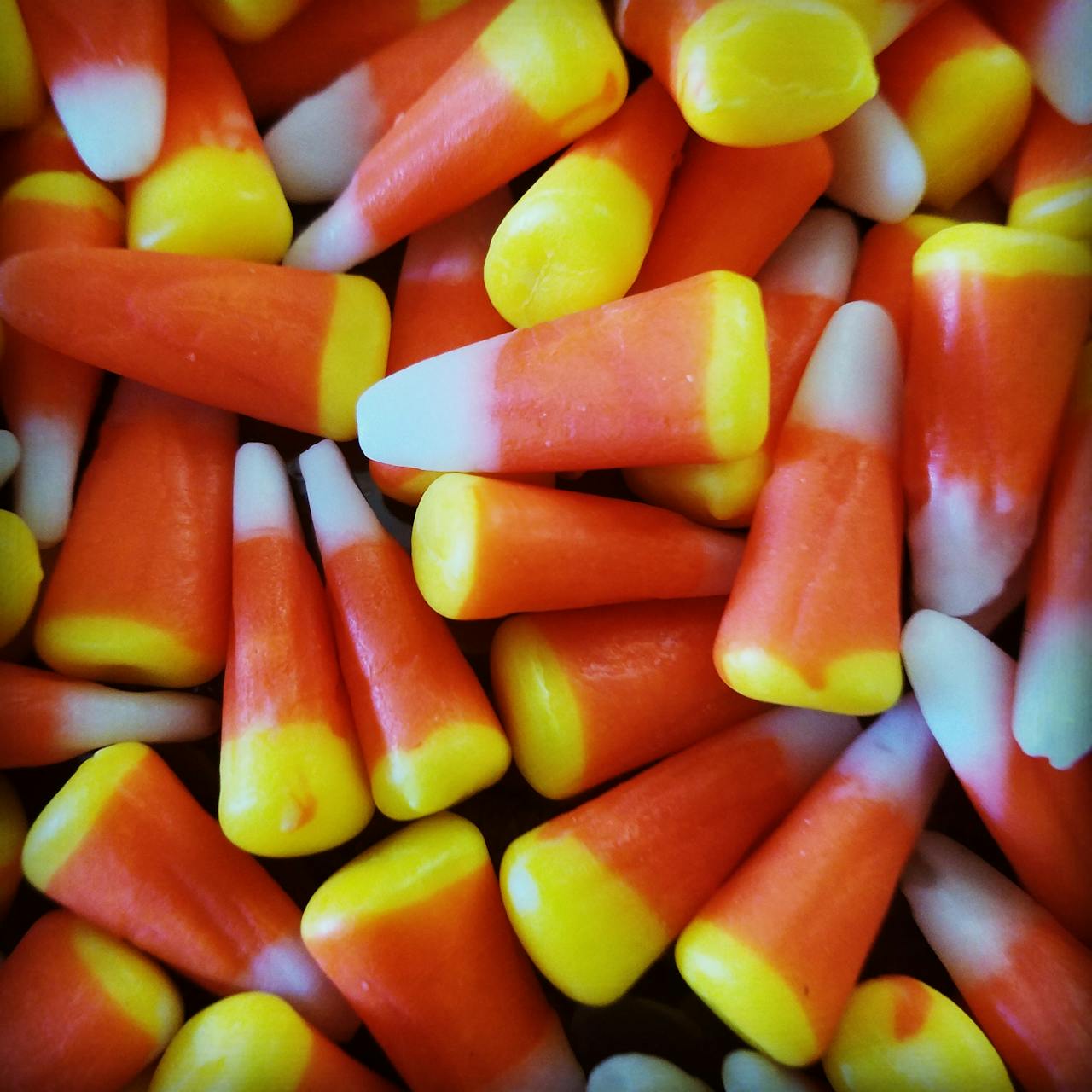 Fall%20Fun%20Blog.jpg