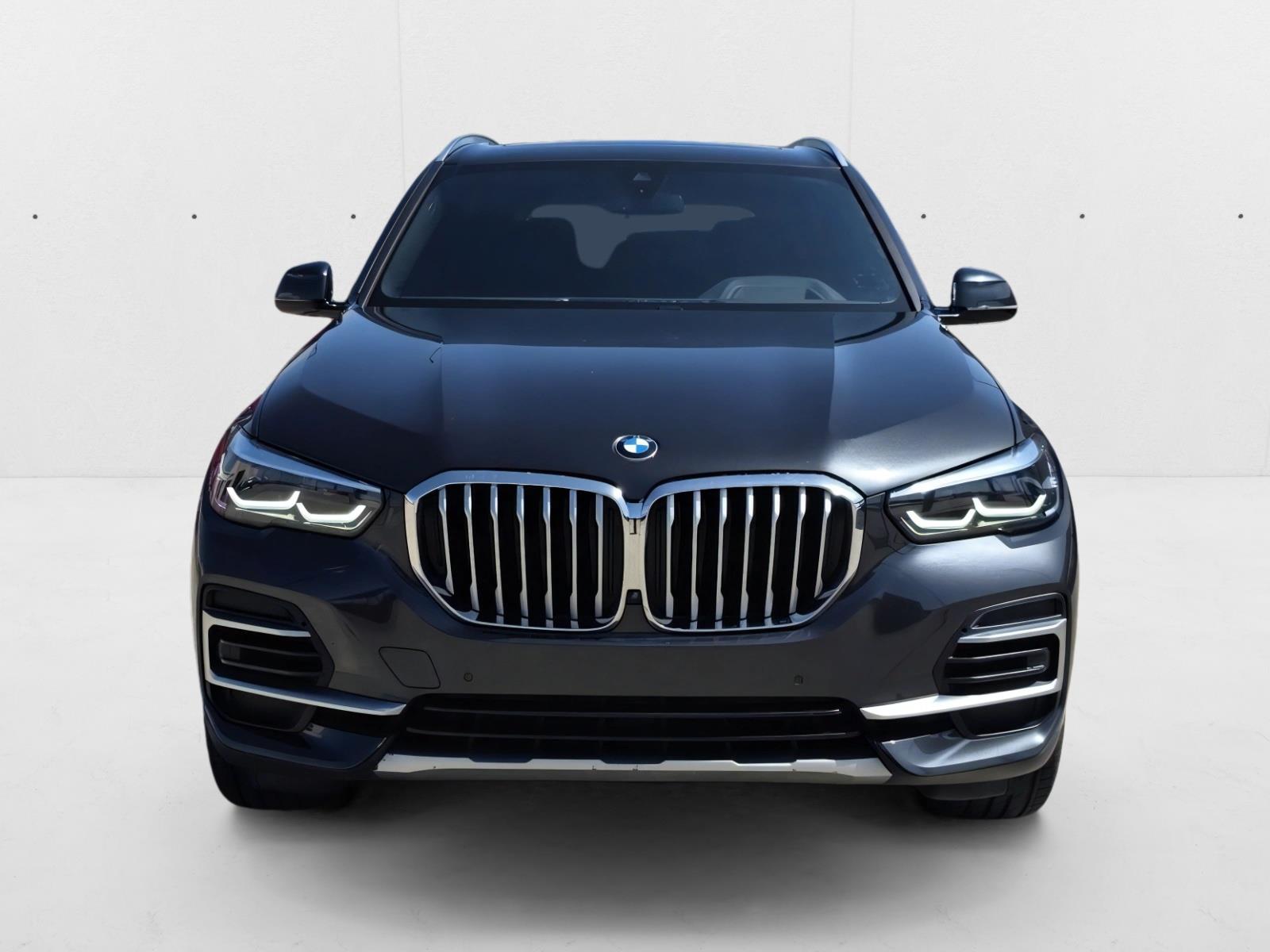 2023 Bmw X5 sDrive40i photo 2