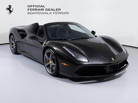 488-spider.jpg
