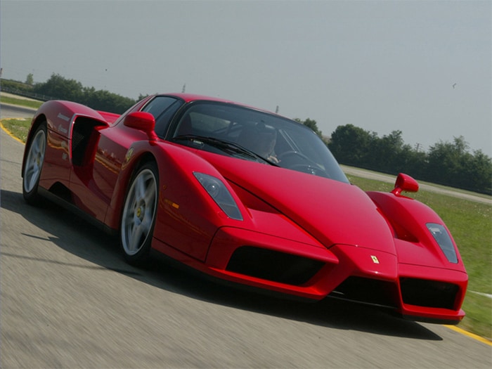 enzo.jpg
