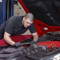 Ferrari mechanic best sale school