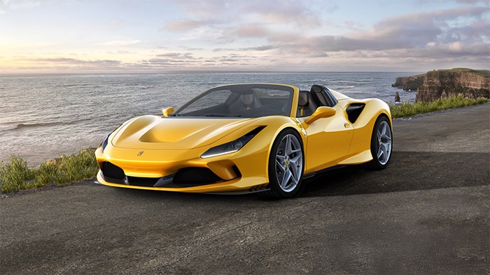 f8-spider-blog.jpg