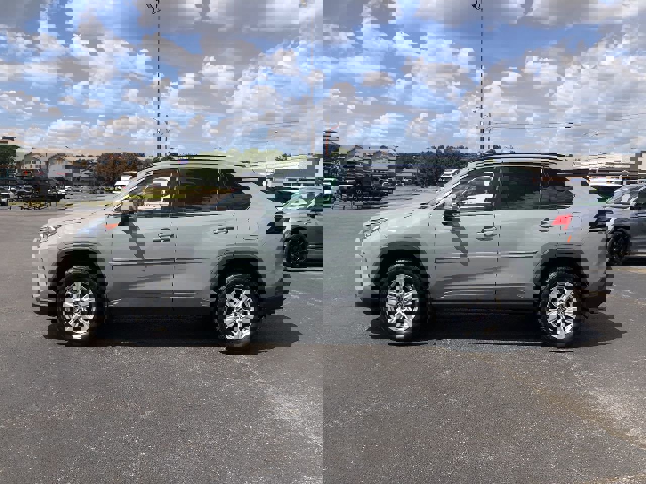 2019 Toyota RAV4 XLE photo 3