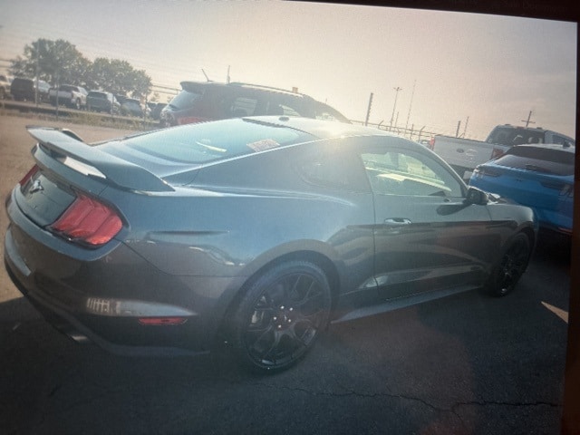 Used 2019 Ford Mustang EcoBoost Premium with VIN 1FA6P8TH8K5196688 for sale in Kansas City