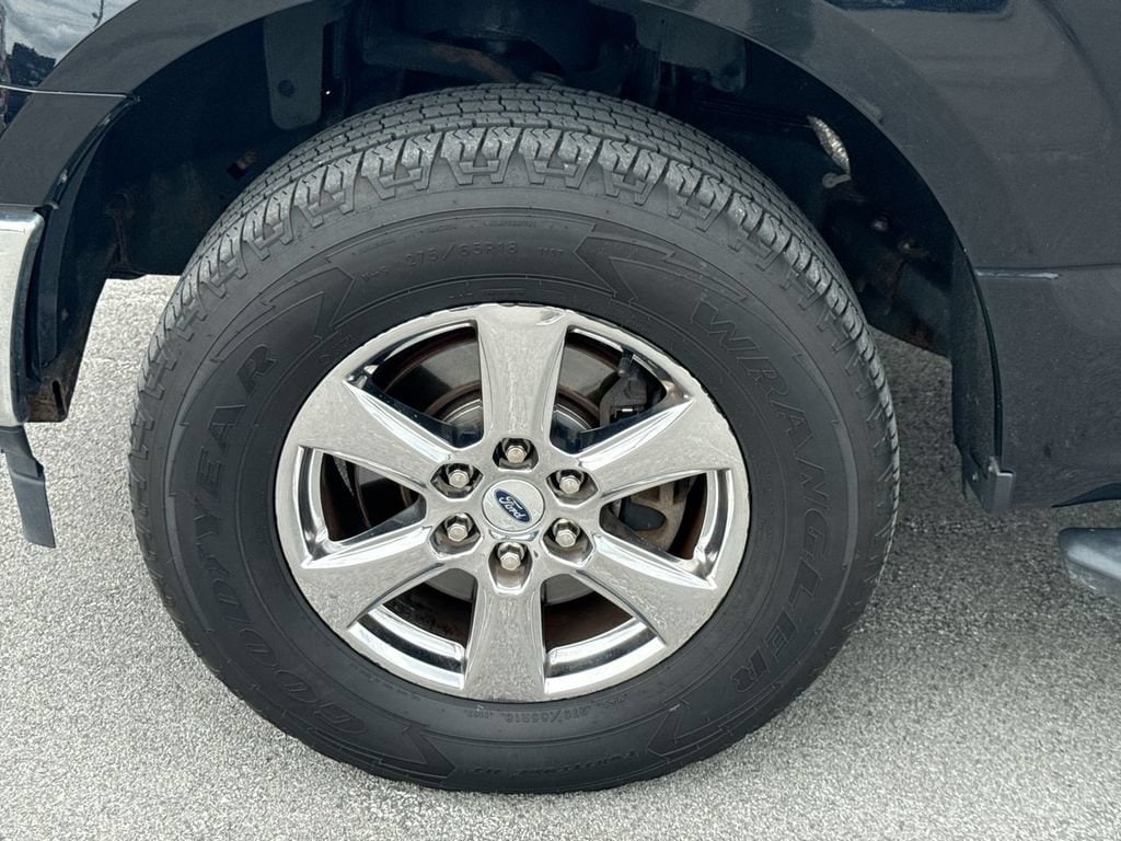 1FTEW1EP6JFD82081