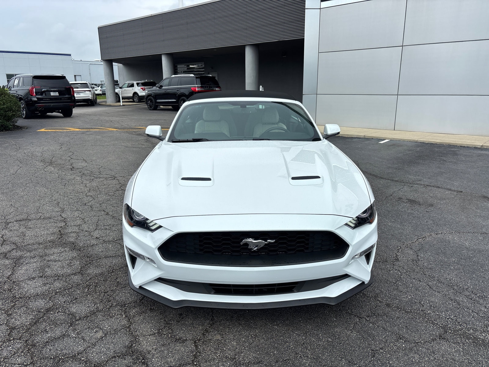 Used 2020 Ford Mustang EcoBoost Premium with VIN 1FATP8UH2L5147358 for sale in Columbus, OH