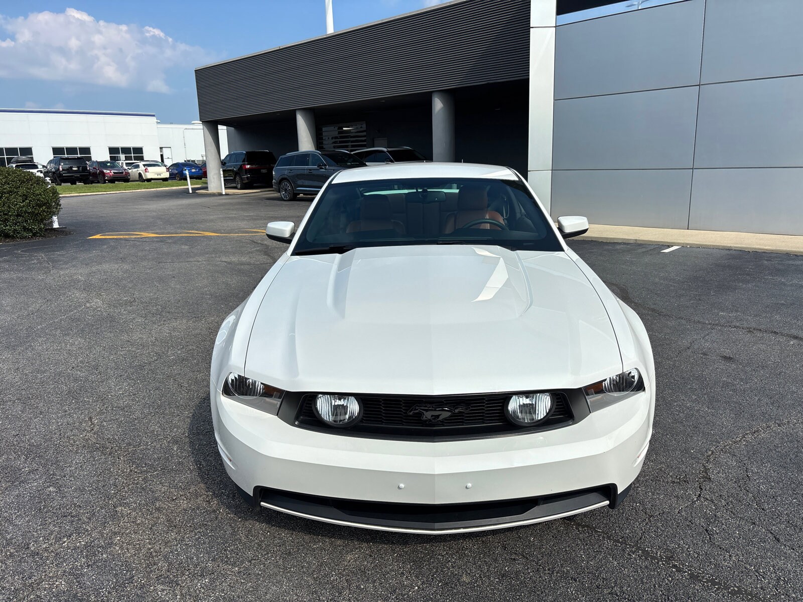 2010 Ford Mustang GT photo 2
