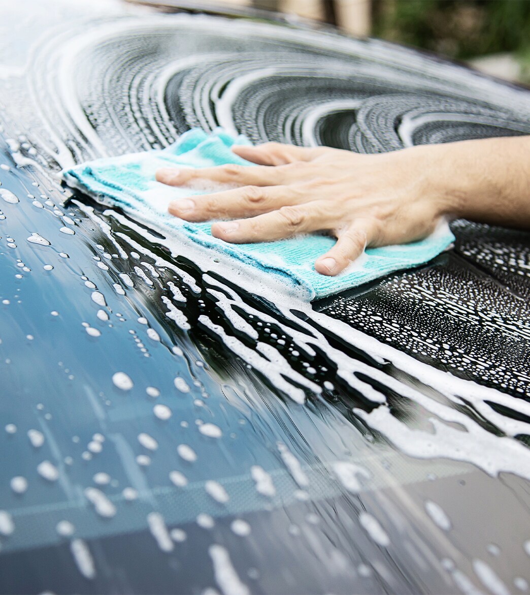 How To Get Bugs Off Your Car Front