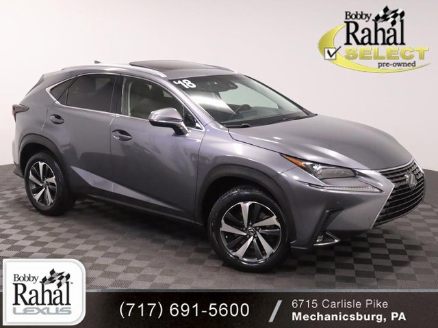 2018 Lexus NX 300's photo