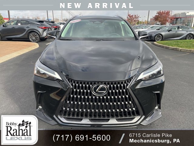 2024 Lexus NX 350h Premium photo 2