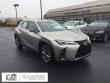 LEXUS UX 250h F Sport