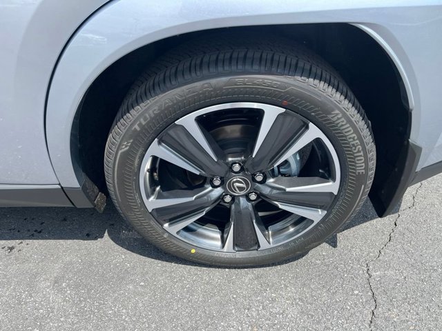 Photo 19