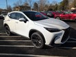  LEXUS NX 450h Plus